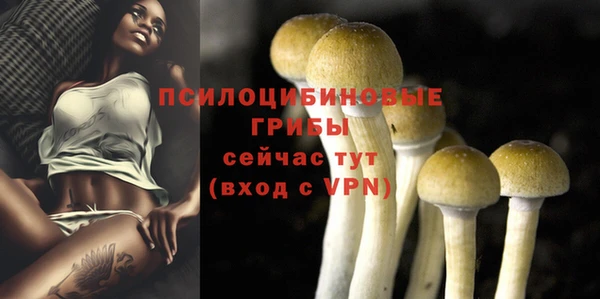 бошки Алзамай