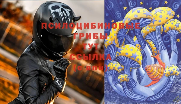ПСИЛОЦИБИНОВЫЕ ГРИБЫ Абинск