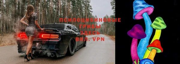jwh Абаза
