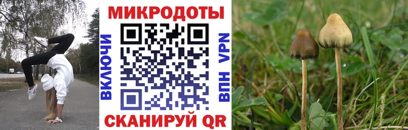 Галлюциногенные грибы Psilocybe  Шали 