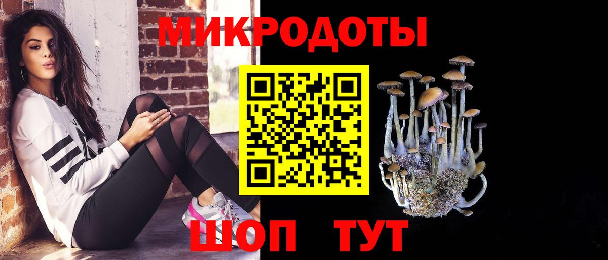 Галлюциногенные грибы прущие грибы  Вход с VPN  Шали 